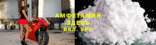 прущие грибы Беломорск