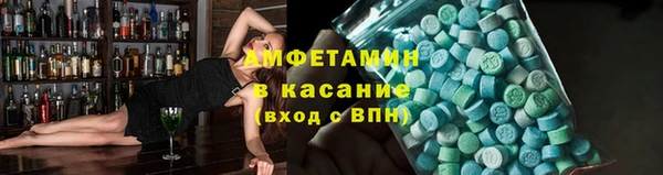 прущие грибы Беломорск