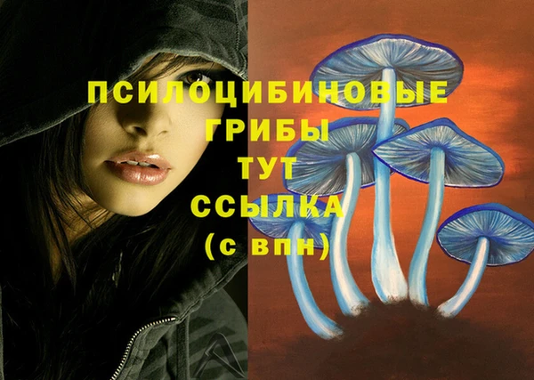 метадон Белоозёрский