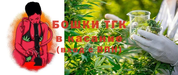 стаф Балахна