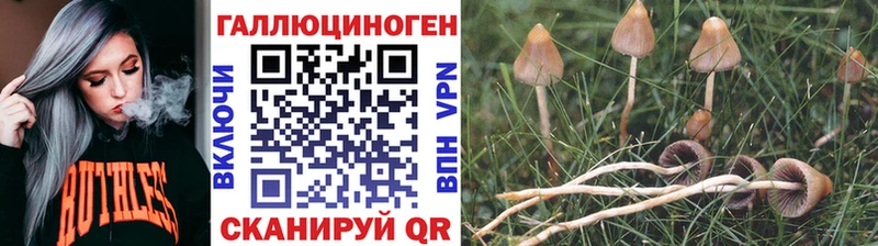 MEGA маркетплейс  Кунгур  Галлюциногенные грибы прущие грибы 