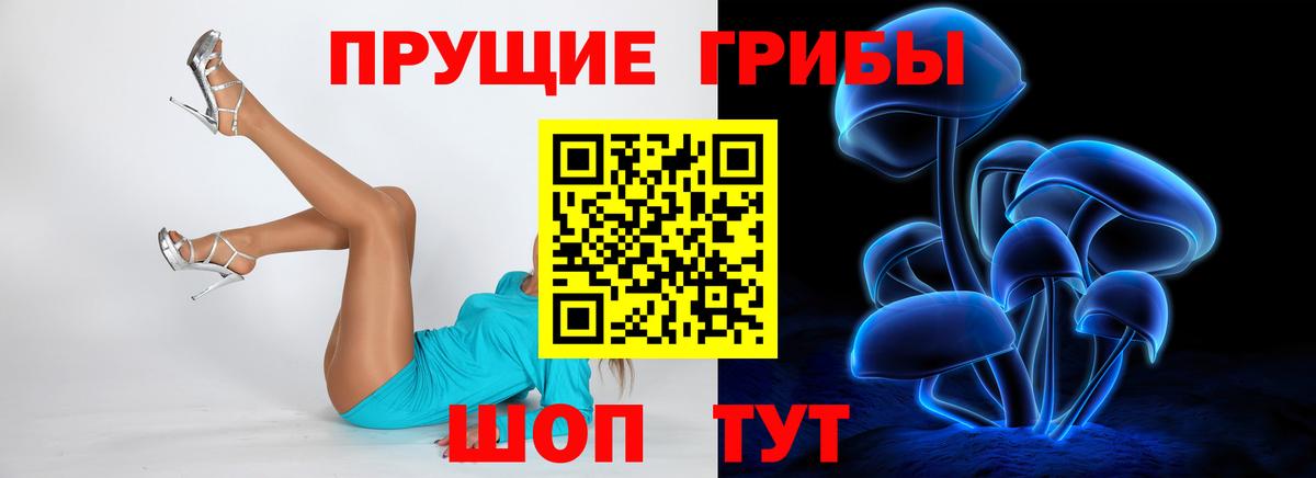 Псилоцибиновые грибы Psilocybine cubensis  Вход с VPN  Псилоцибиновые грибы GOLDEN TEACHER  Кунгур 